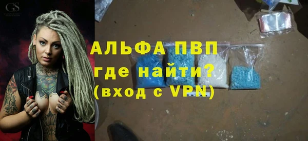 хмурый Аркадак