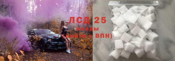 хмурый Аркадак