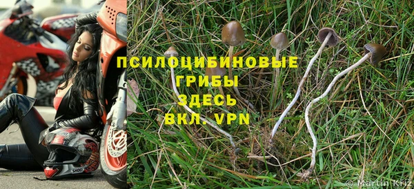 Альфа ПВП Арсеньев