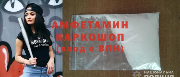 хмурый Аркадак