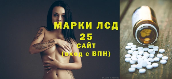 хмурый Аркадак