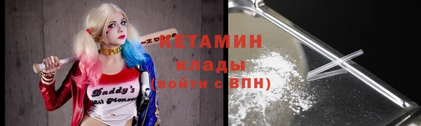 хмурый Аркадак