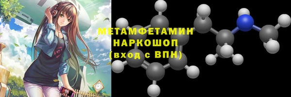 хмурый Аркадак