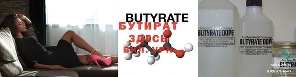 хмурый Аркадак