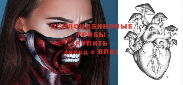 Альфа ПВП Арсеньев