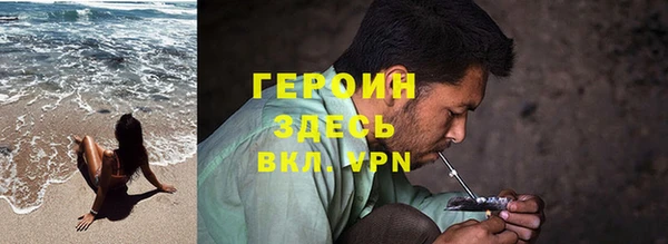 хмурый Аркадак