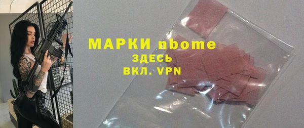 хмурый Аркадак